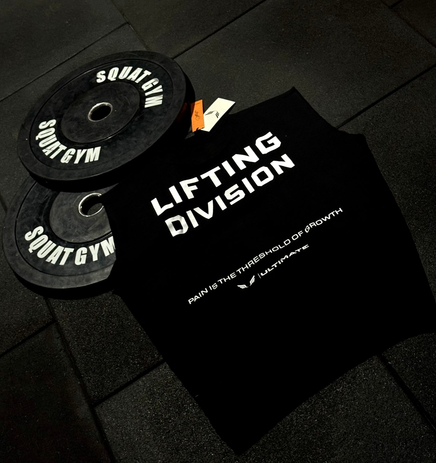 LIFTING DIVISION