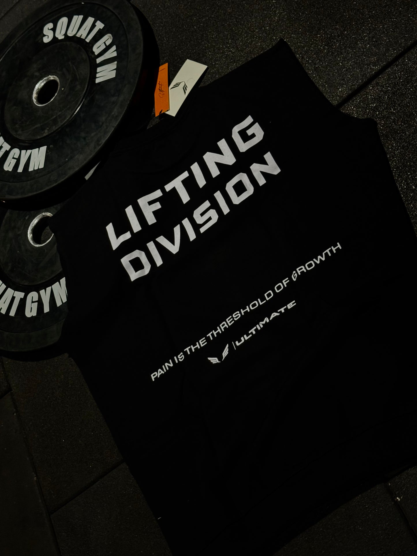 LIFTING DIVISION